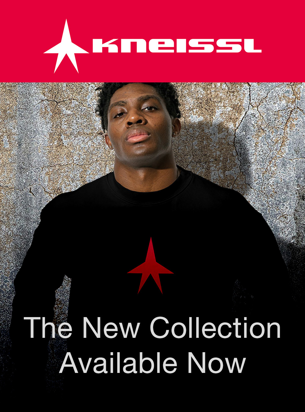 Kneissl ecommerce apparel digital advert with male model